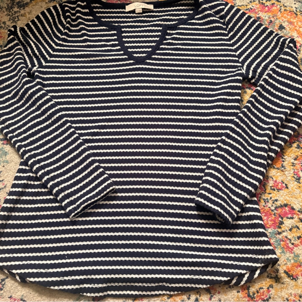 LOFT Navy and White V-Neck Sweater